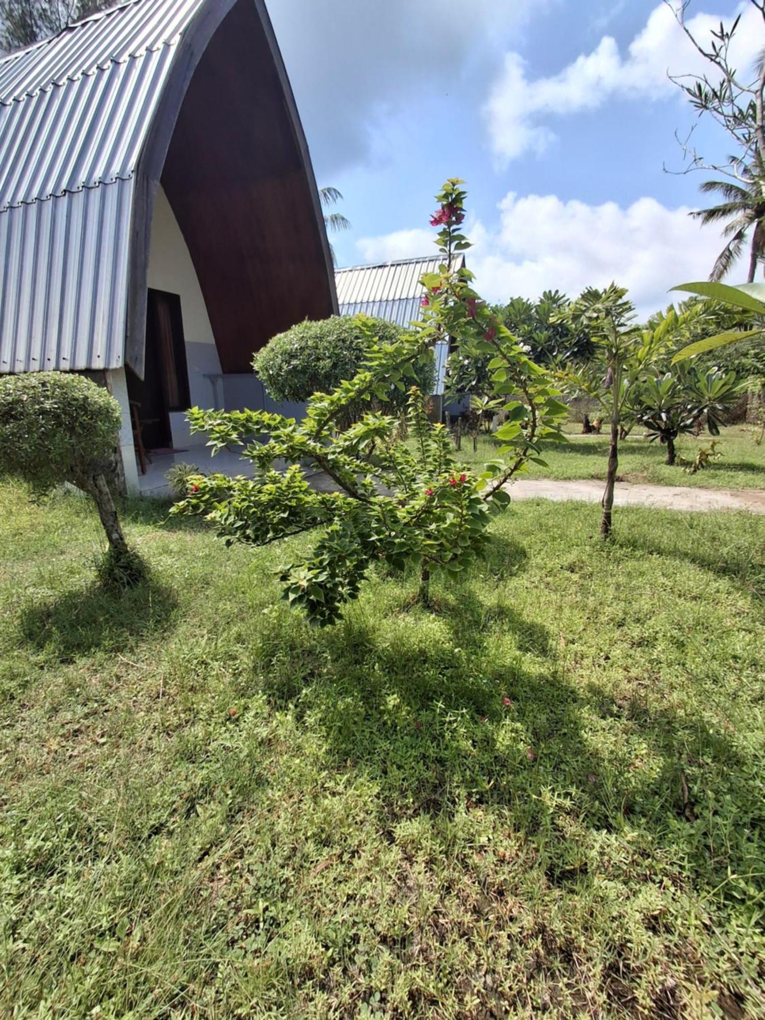 Cnunk Bungalow Gili Meno Exterior photo